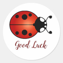 Coccinelle Rouge Orange Noire Chance