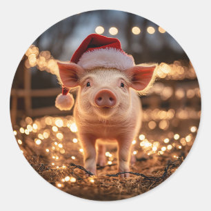 Sticker Rond Cochon dans un chapeau de Père Noël