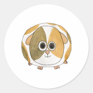 Sticker Rond Cochon de Guinée.