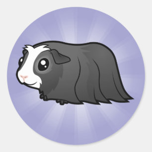 Sticker Rond Cochon de Guinée (cheveux longs)