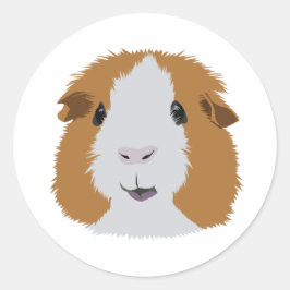 Sticker Rond Cochon de Guinée orange et blanc