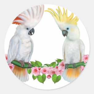 STICKER ROND COCKATOO COURTSHIP