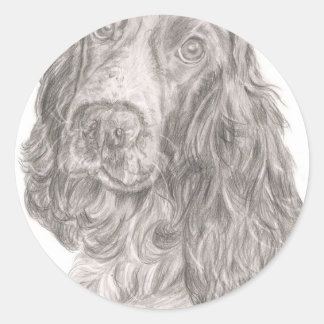 Sticker Rond Cocker Spaniel