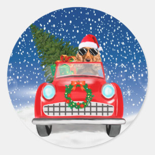 Sticker Rond Cocker Spaniel Chien Conduisant une Voiture Dans l