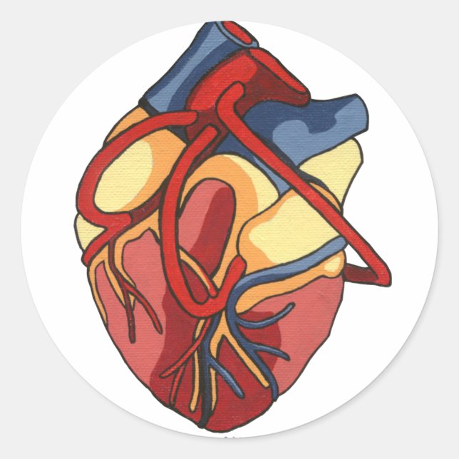 Sticker rond Coeur anatomique (Devant)