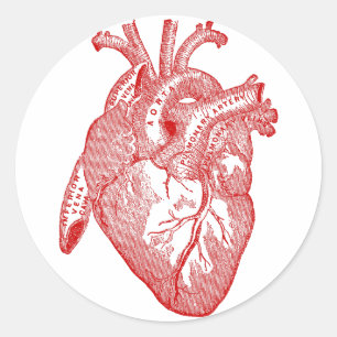 Sticker Rond Coeur Anatomique Rouge