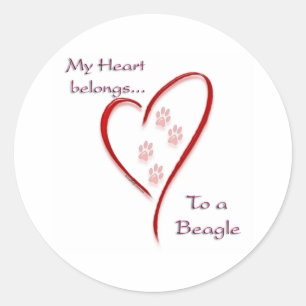 Sticker Rond Coeur appartient au Beagle; Beagles d'amour; Amour