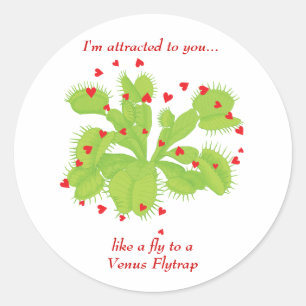 Sticker Rond Coeurs & Vénus Flytrap
