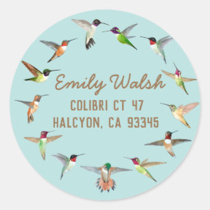 Sticker Rond Colibri