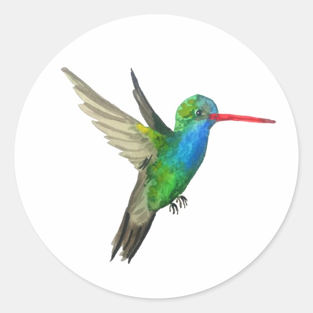 Sticker Rond Colibri à bec large (Devant)
