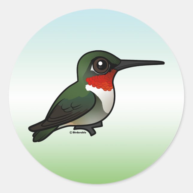 Sticker Rond Colibri à gorge rubis (Devant)