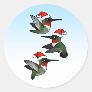 Sticker Rond Colibri à gorge rubis de Noël