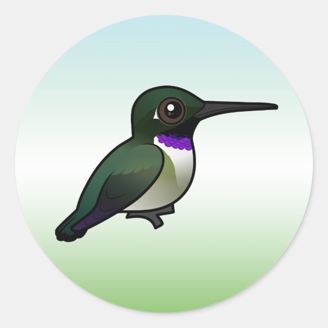 Sticker Rond Colibri à manne noire (Devant)