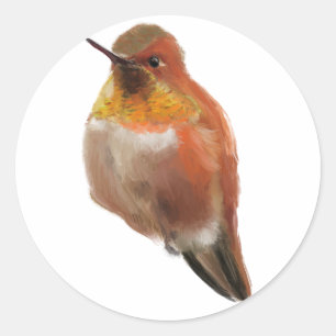 Sticker Rond Colibri roux (Sélégoudron)
