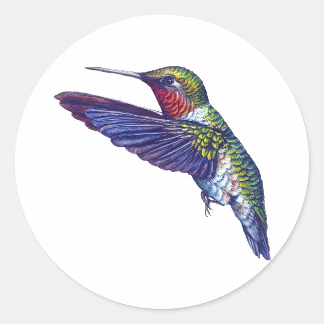 Sticker Rond Colibri Ruby Throsé (Devant)
