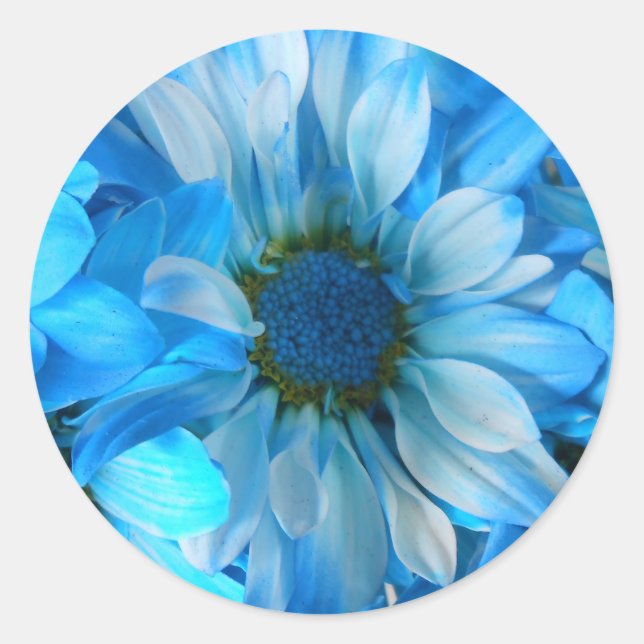 Sticker Rond Collaert (Devant)