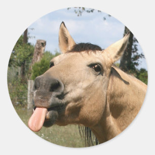 Sticker Rond collant de raifort de cheval