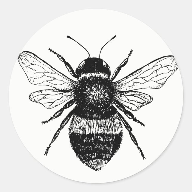Sticker Rond Collection vintage d'autocollants (Devant)