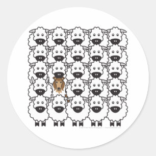 Sticker Rond Colley rugueux chez les moutons