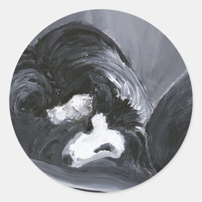 Sticker Rond Collie Bordure Pose La Peinture (Devant)