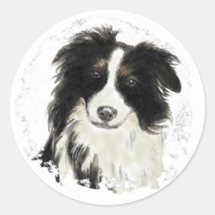 Sticker Rond Collie de bordure personnalisée - Collection de ch