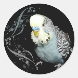Sticker Rond Collier bleu bougie