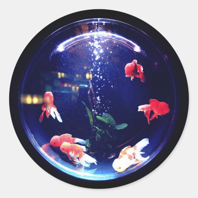 Sticker Rond Colonne d'aquarium de la cuvette d'or (Devant)