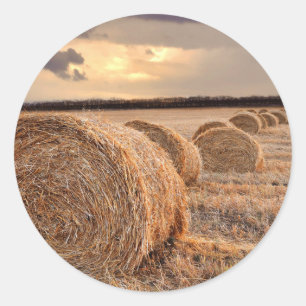 Sticker Rond Colonne de Hay Bail Farmer Ag Agriculture