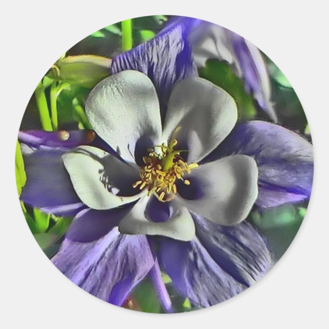 Sticker Rond Colonnes de fleurs de Columbine (Devant)