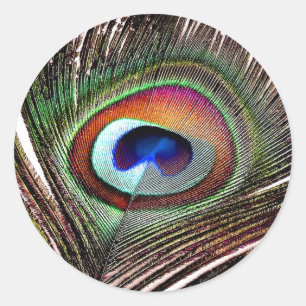 Sticker Rond Colorful Copper Peacock Feather