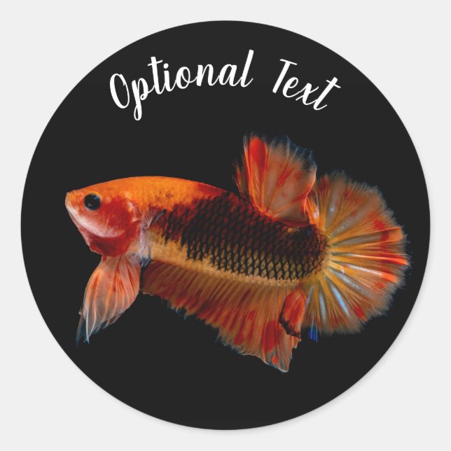 Sticker Rond Combattant Betta Orange (Devant)