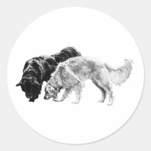 Sticker Rond Compagnons Dusky en ligne