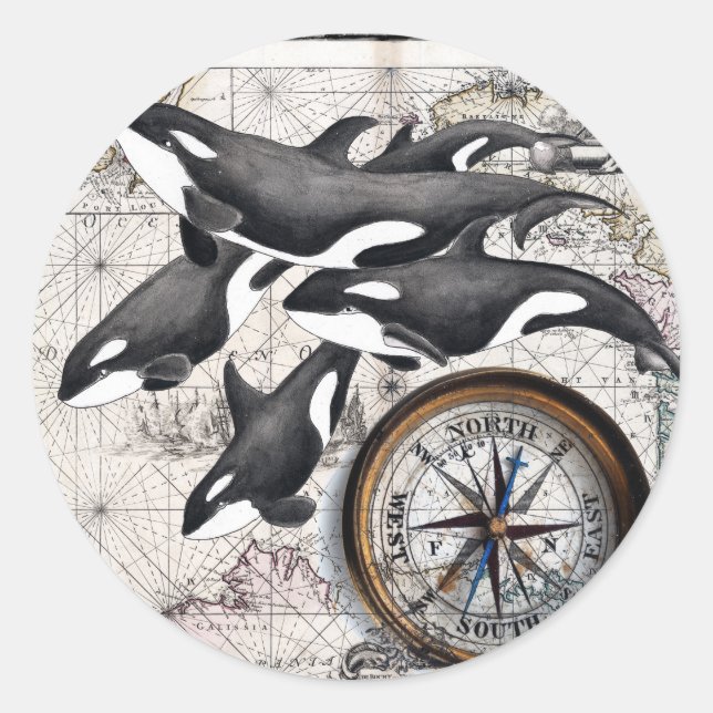Sticker Rond Compas Nautique Orca (Devant)