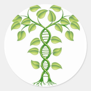 Sticker Rond Concept de plante d'ADN