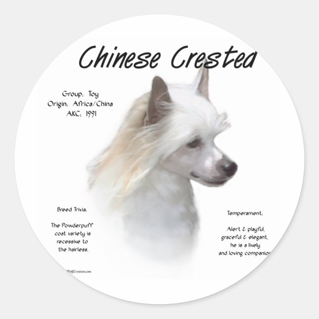 Sticker Rond Conception de l'histoire de la crête chinoise (pou (Devant)