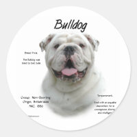 Conception de l'historique de Bulldog
