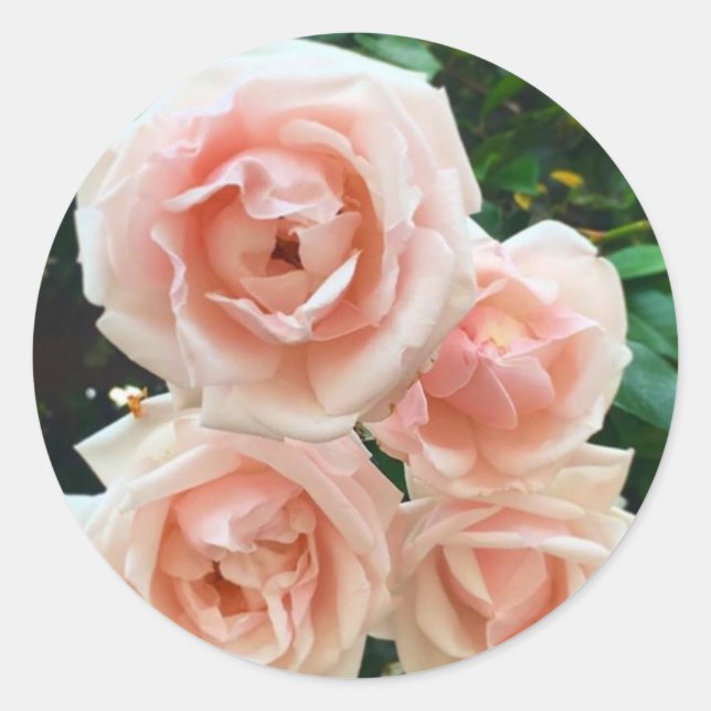 Sticker Rond Conception Florale Rose (Devant)
