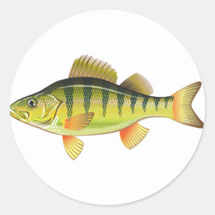 Sticker Rond Conception graphique de perche jaune d'art d'eau