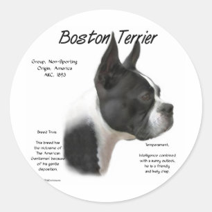 Sticker Rond Conception historique de Boston Terrier