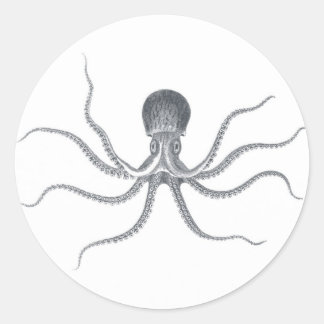 Sticker Rond Conception marine de pieuvre géante