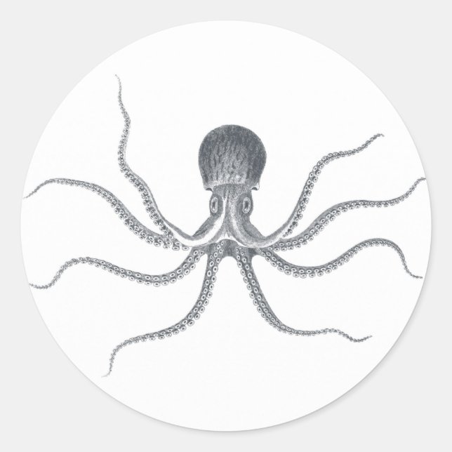 Sticker Rond Conception marine de pieuvre géante (Devant)