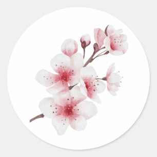 Sticker Rond Conception Okinawa Series 30