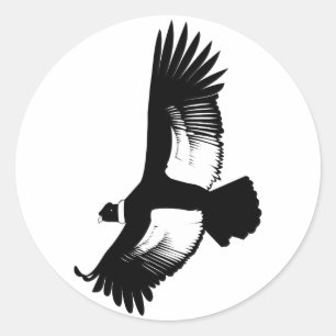 Sticker Rond Condor andin volant
