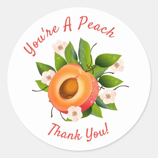 Sticker Rond Conserve de fruits de pêche | Merci enveloppe scel (Devant)