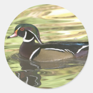 Sticker Rond Copie DSC_0454