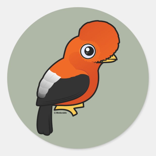 Sticker Rond Coq de rocher andin (Devant)