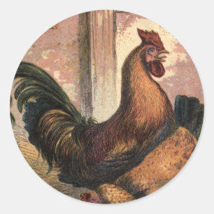 Sticker Rond Coq rouge, poule Brown et poussins de bébé sur l