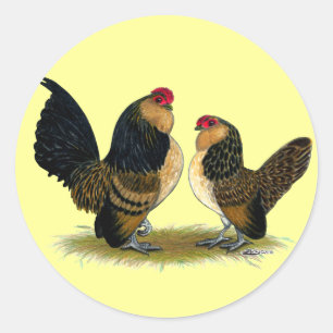 Sticker Rond Coqs nains belges de d'Anvers :  Cailles