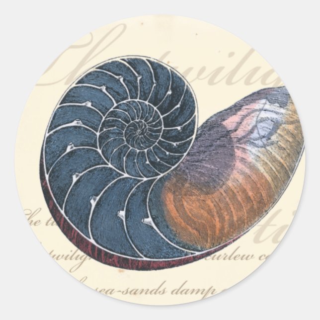 Sticker Rond Coquillage romantique (Devant)