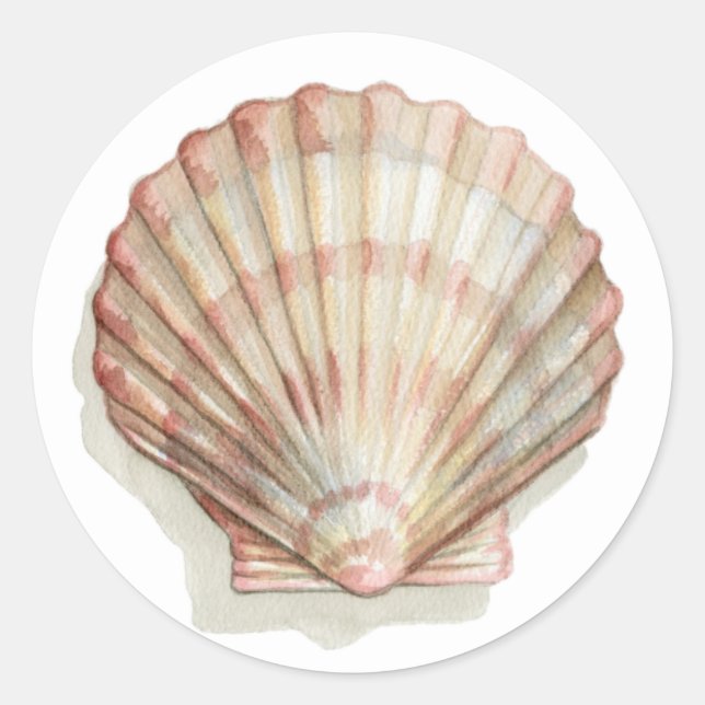 Sticker Rond Coquillage rose et crème (Devant)